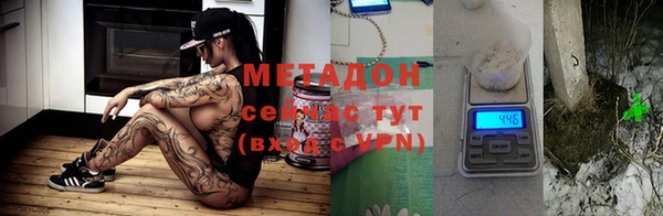 крисы Корсаков
