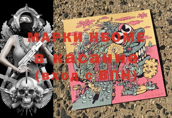 крисы Корсаков