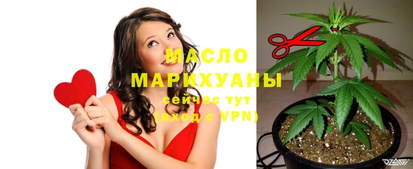 крисы Корсаков