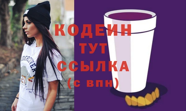 крисы Корсаков