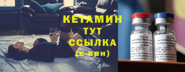 крисы Корсаков