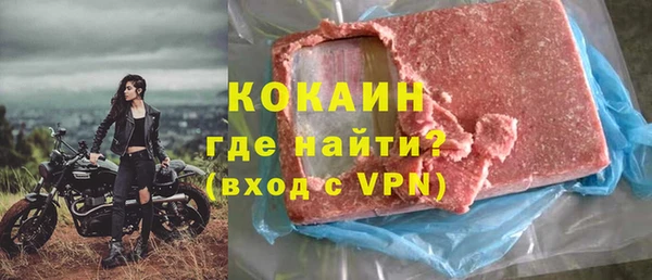 крисы Корсаков