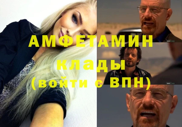 крисы Корсаков
