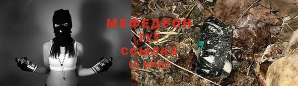 крисы Корсаков